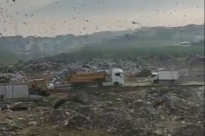 Çevre Denetimi ve İdari Tedbir