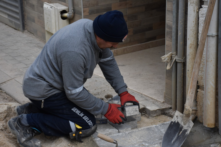 Gemlik Belediyesi Park ve Yeşil Alanlarda Bakım