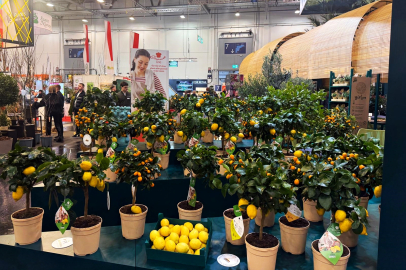 İlgi çekici bir iş ve ticaret platformu