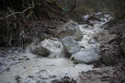 Çevre ve Sağlık İçin Acil Uyarı