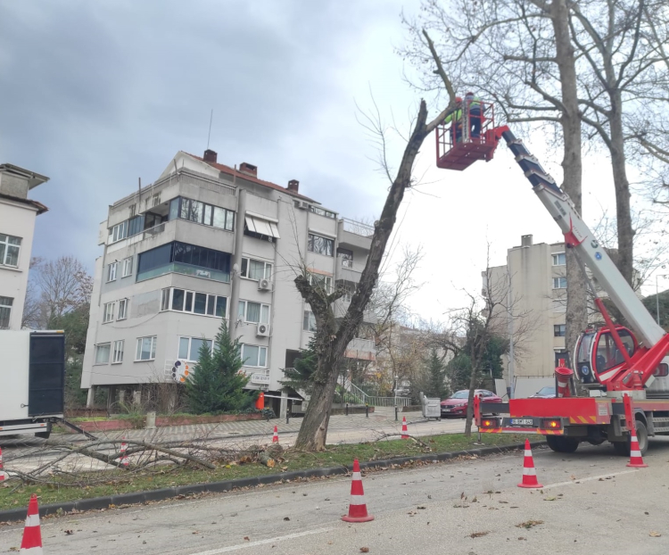 Lodos Büyükşehirde Bursayı Vurdu: Sahada