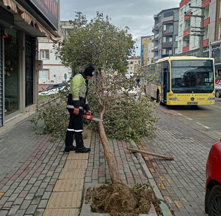 Lodos Büyükşehirde Bursayı Vurdu: Sahada