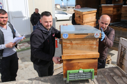 Arıcılık Destek Programı