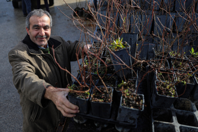 Fide ve Fidan Desteği Projesi