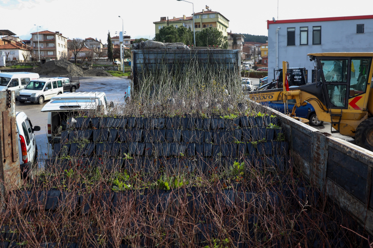 Fide ve Fidan Desteği Projesi