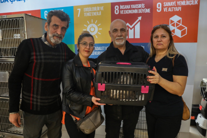 Kedi Evi Atölyesi ve Yuvalandırma Etkinliği