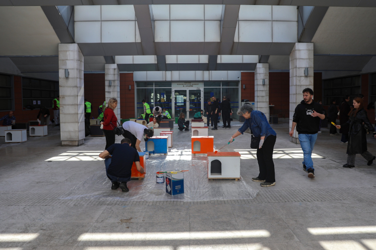 Kedi Evi Atölyesi ve Yuvalandırma Etkinliği