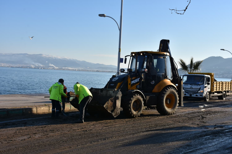 Bursa Gemlikte Fırtına Sonrası Temizlik