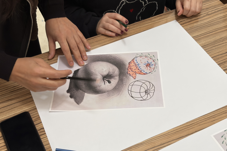 Kadınlara Yönelik Atölyeler ve Etkinlikler