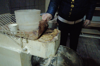 Denetim ve Önlemler