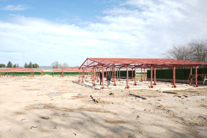 Hayvan Bakımevi ve Doğal Yaşam Alanı