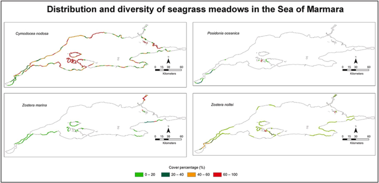 Deniz Çayırları İçin Acil Önlem Çağrısı