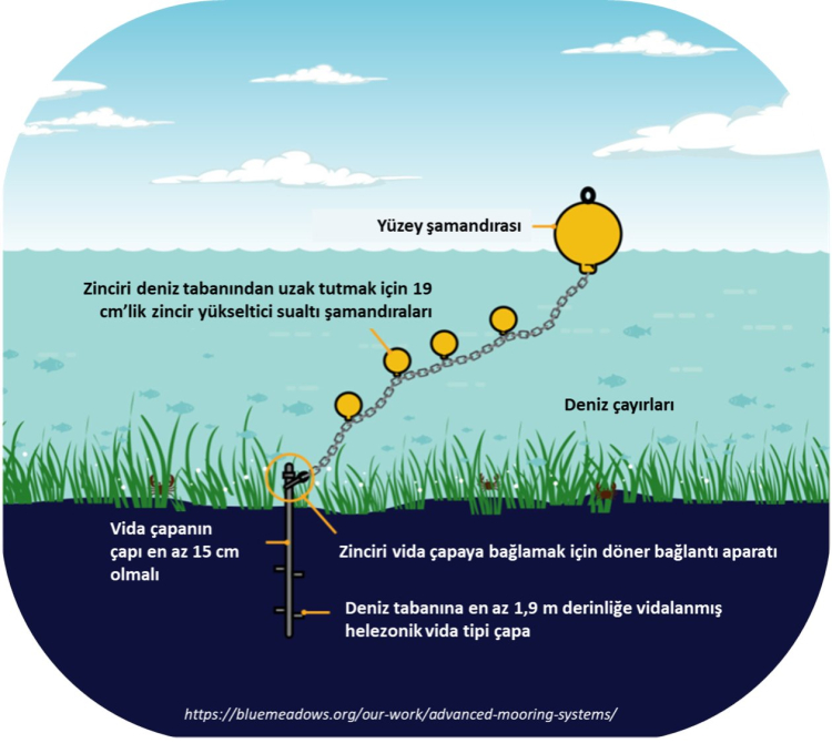 Deniz Çayırları İçin Acil Önlem Çağrısı