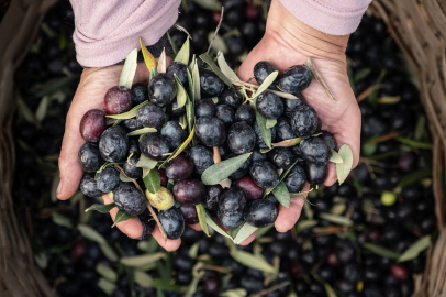 Güçlü 2025 Performansı