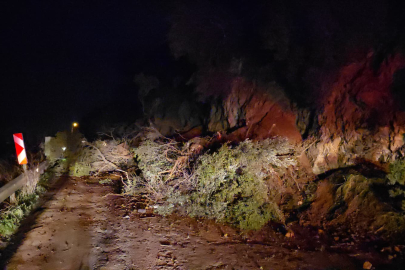 Mudanya-Altıntaş yolunda heyelan