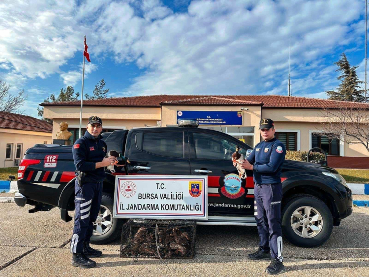 Uluabat Gölü’nde Kaçak Avcılar İçin Büyük Ceza