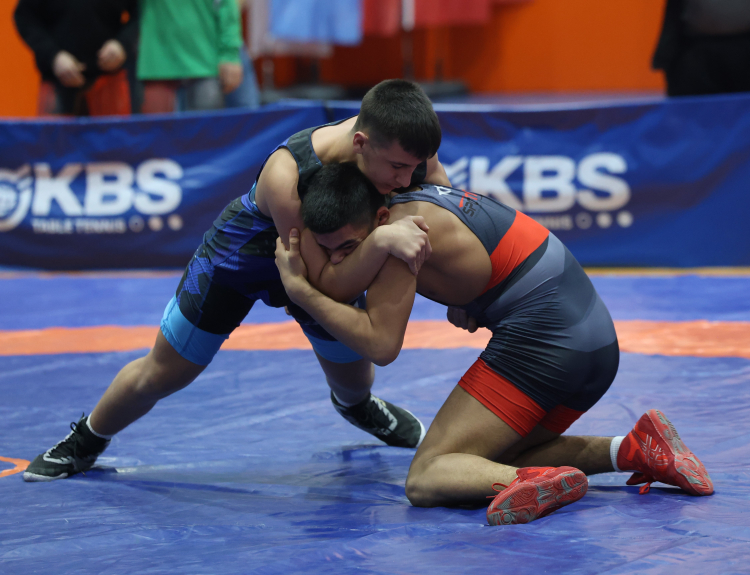 Güreş Şampiyonluğu ve Dereceler