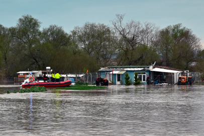 Gölgelik Hasarlı Ev ve Bahçedeki Hayvanlar