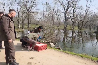 Karacabey’de Doğaya Yeniden Bırakım Etkinliği