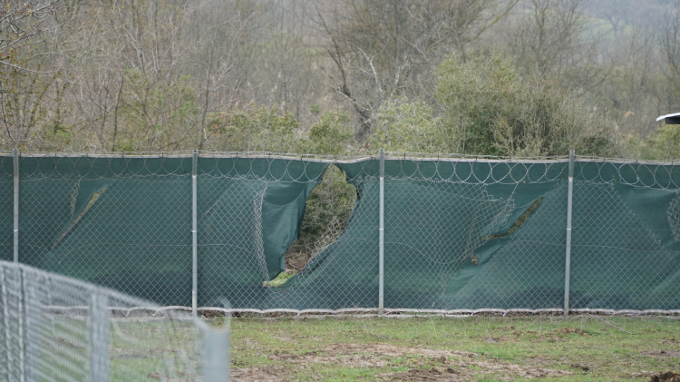 Hayvan Rehabilitasyon Merkezi’ne yönelik saldırıya tepki