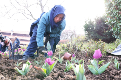 Bursa Osmangazi’nin Her Noktası Çiçek Açtı