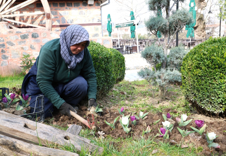 Bursa Osmangazi’nin Her Noktası Çiçek Açtı