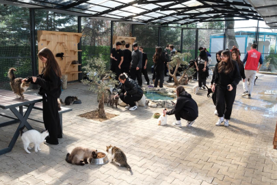 Merkezi Hizmetler ve Amaçlar