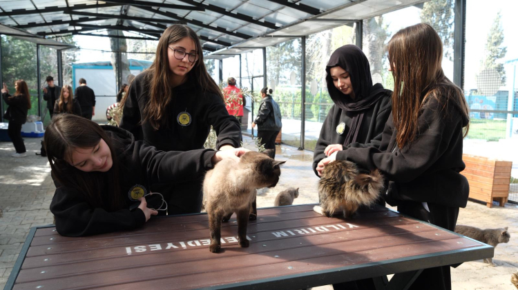 Merkezi Hizmetler ve Amaçlar