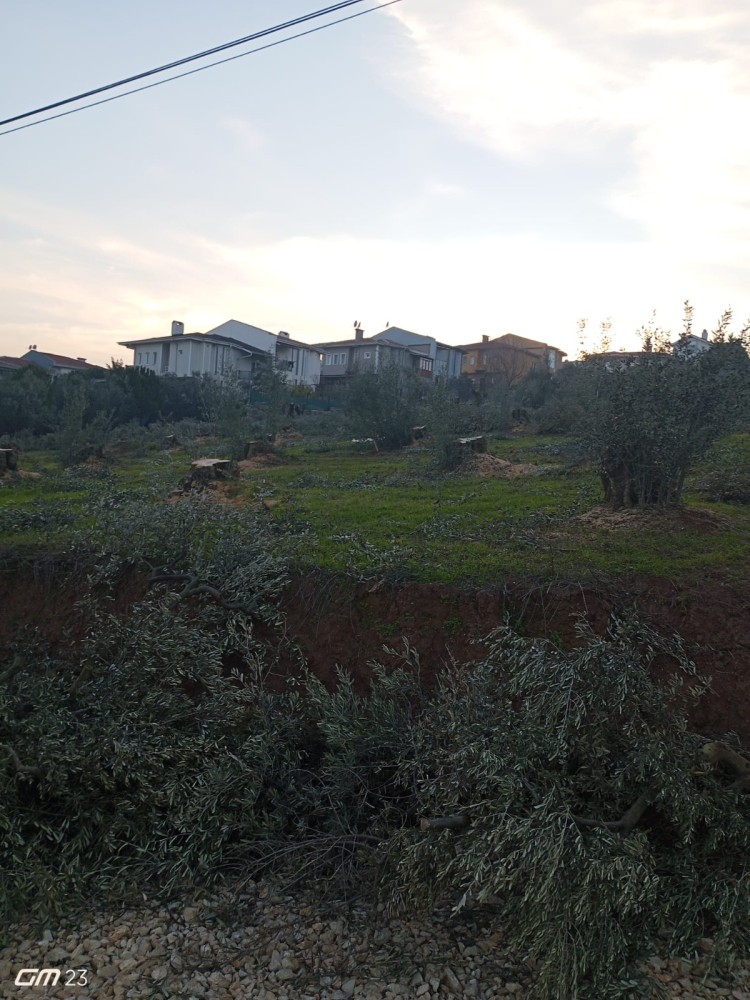 İnşaat Faaliyetleri ve Yol Güvenliği