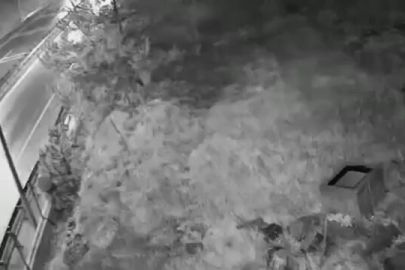 Çelik Kasa Hırsızlığına ilişkin ayrıntılar