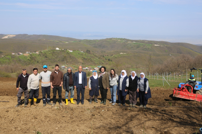 Bursa Nilüfer’de Atıl Araziler Bereketleniyor