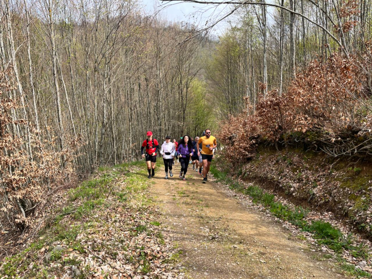 Doğa Etkinlikleriyle Doğayla İç İçe Deneyim