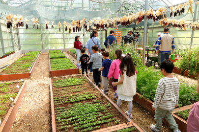 Çocuklar Serada Tohum Ekimi ve Fidelerle Tanıştı