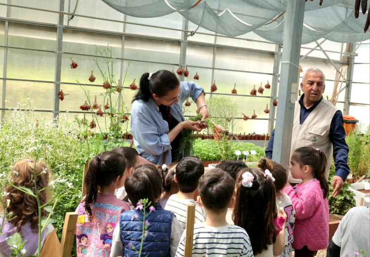 Çocuklar Serada Tohum Ekimi ve Fidelerle Tanıştı