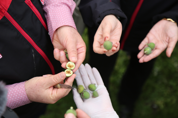 İsz ürün kalitesini artırmaya yönelik denetimler devam ediyor
