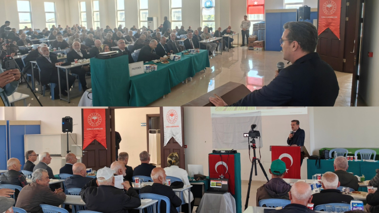 Zeytin Üreticileri İçin Sahada Eğitimler Sürüyor