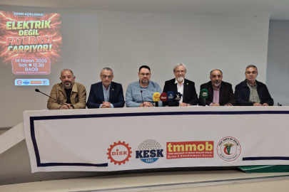 Elektrik faturalarındaki artışın dağıtım bedellerinden kaynaklandığına dikkat çekildi