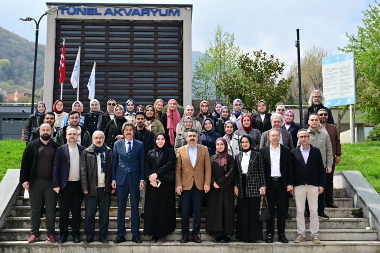 Tanıtım ve İçerik