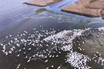 Doğa Koruma ve Milli Parklar Genel Müdürlüğü 2. Bölge Müdürlüğü